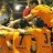gloriosoalaves