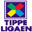 Liga Noruega