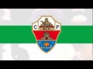 El Elche C.F. asciende a 1ª 24 años despues